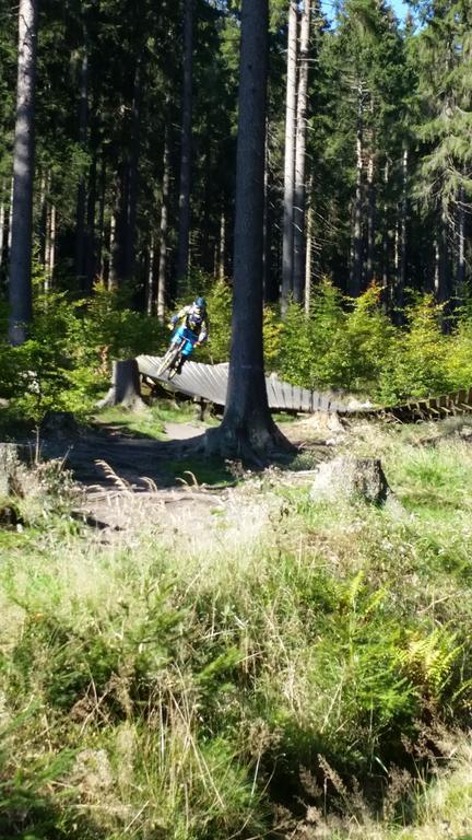 Harz-Zauber Apartman Braunlage Kültér fotó