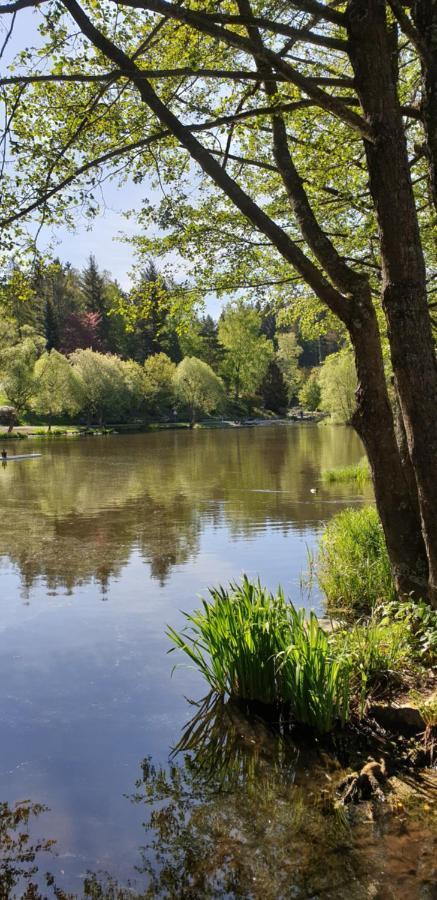 Harz-Zauber Apartman Braunlage Kültér fotó
